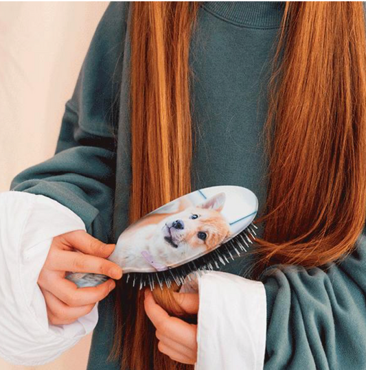 Get ready for the Autumn Uni Term (or school) with a personalised brush 👩🏻🎓👨🎓
