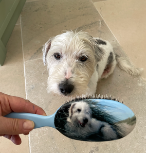 Gentle Grooming for Our Best Friends 🐕🐈💫