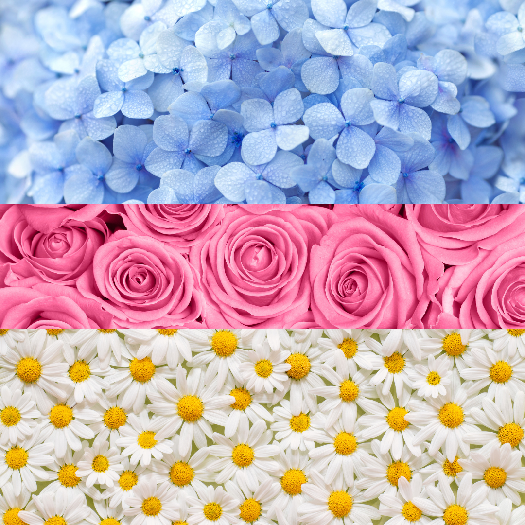 Thomas Ruddle Introducing: The Floral Collection 💐💛 – Rock & Ruddle