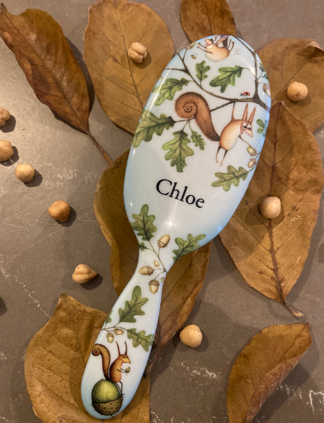 Squirrels Personalised Hairbrush