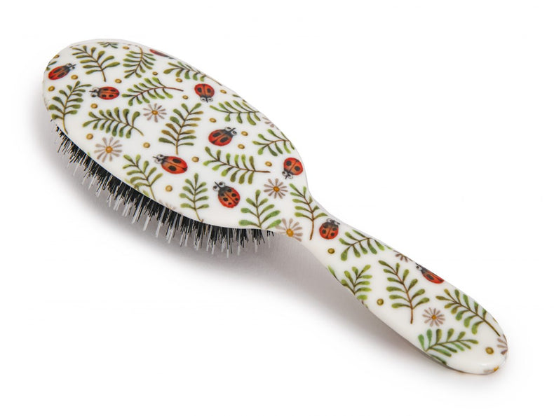 Ladybirds Hairbrush